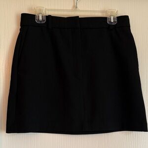 Aritzia Babaton Chisel Skirt